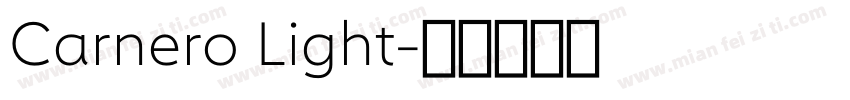 Carnero Light字体转换